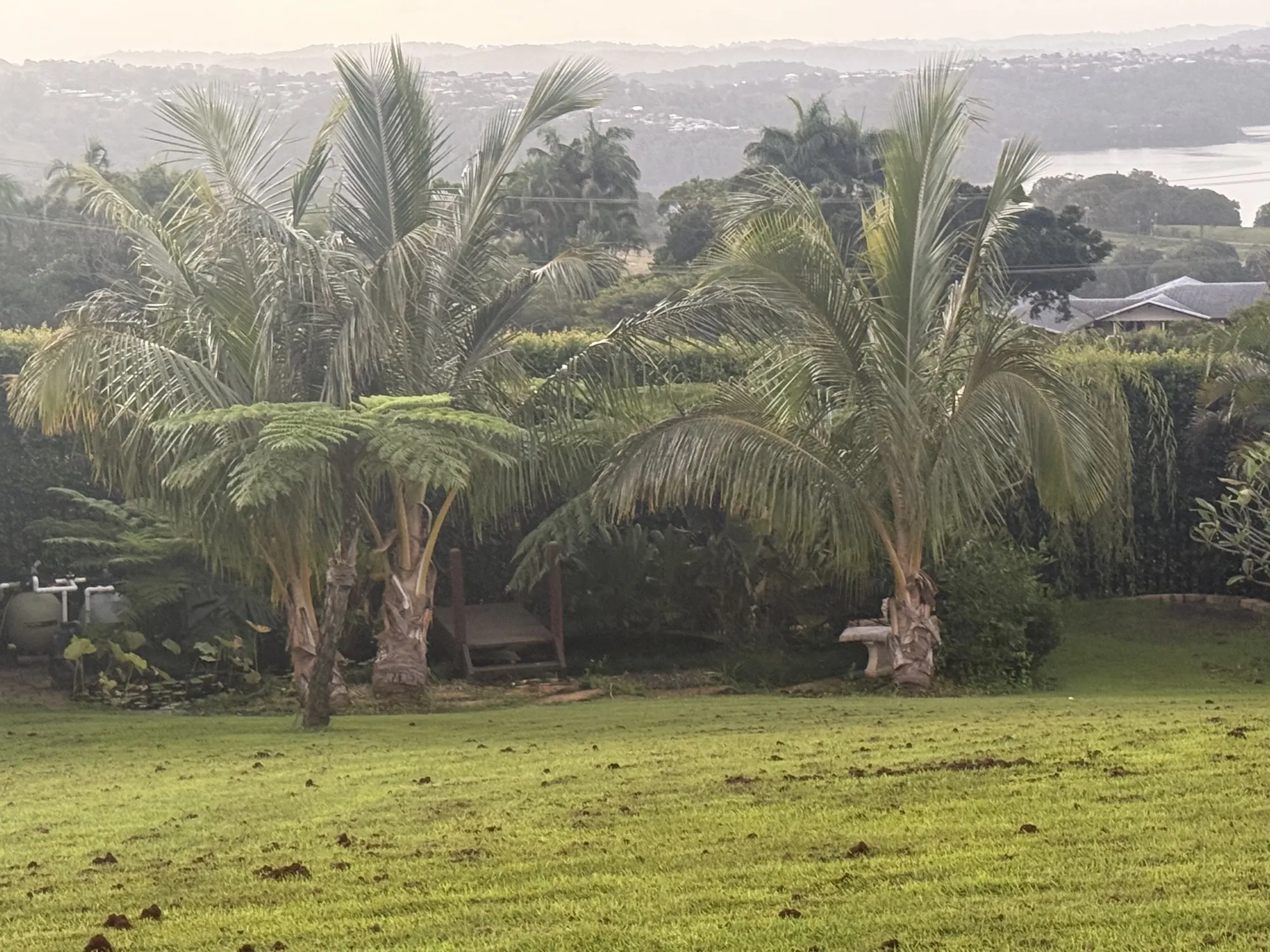 The gardens at Jodha Bai, palms and tree ferns across the lawn with hills beyond