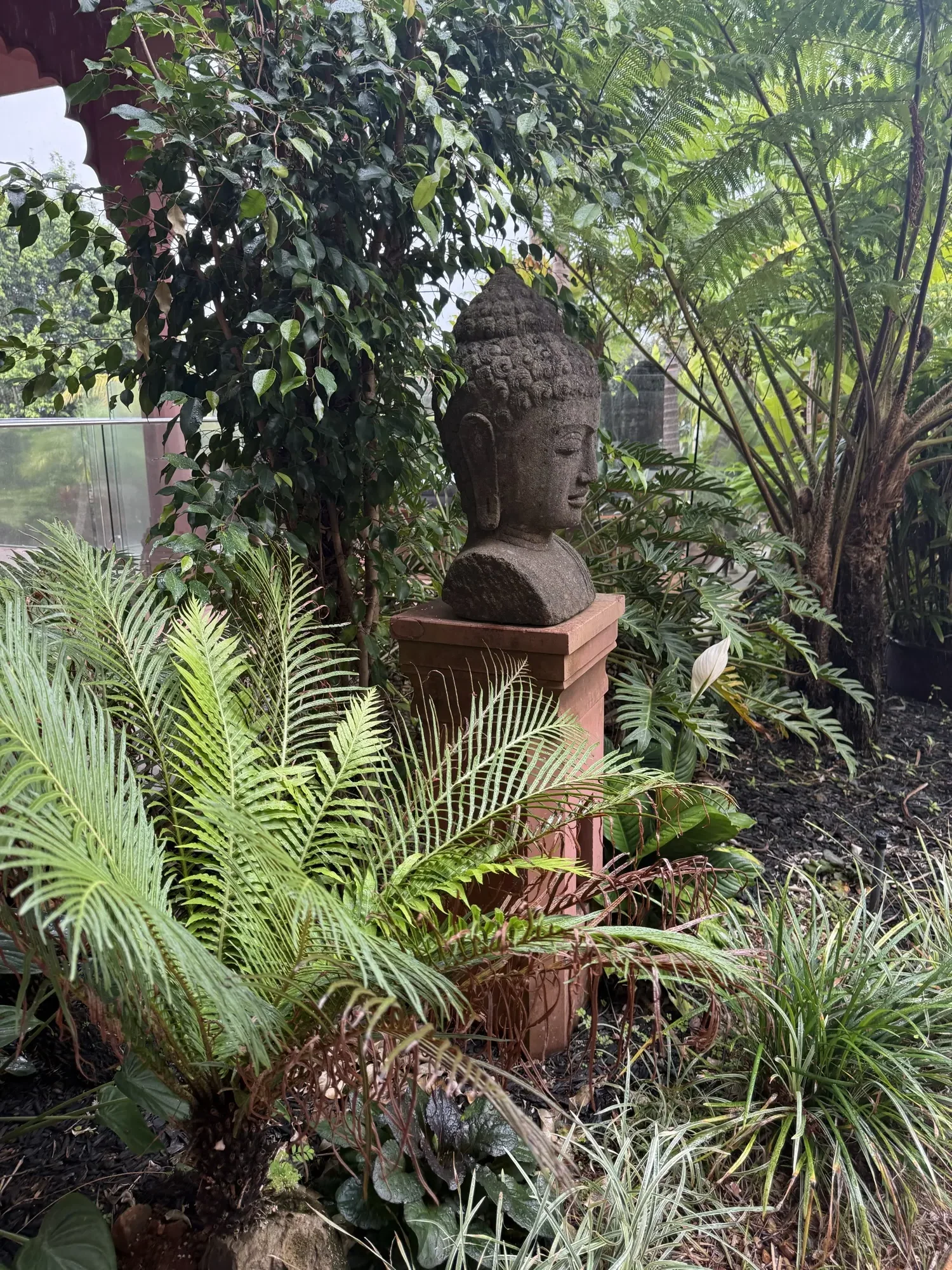 The gardens at Jodha Bai, a carved stone bust surrounded by ferns