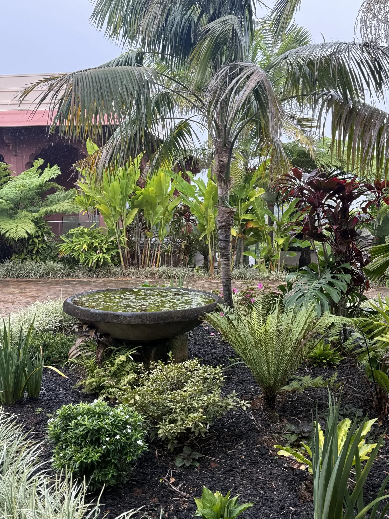 The gardens at Jodha Bai, a stone urn pond set among ferns and cordyline