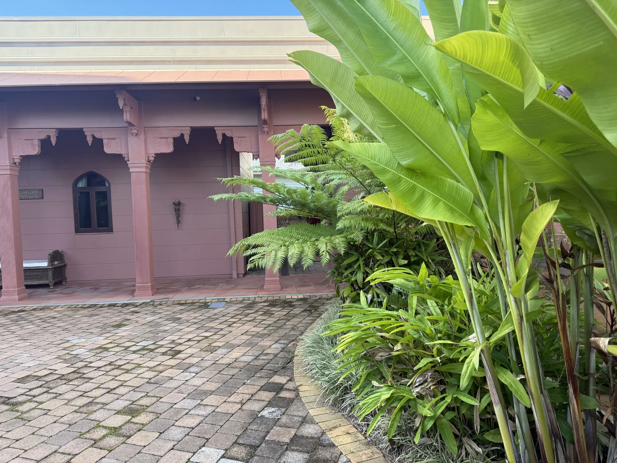 The gardens at Jodha Bai, the Lotus Suite veranda framed by tree ferns and palms