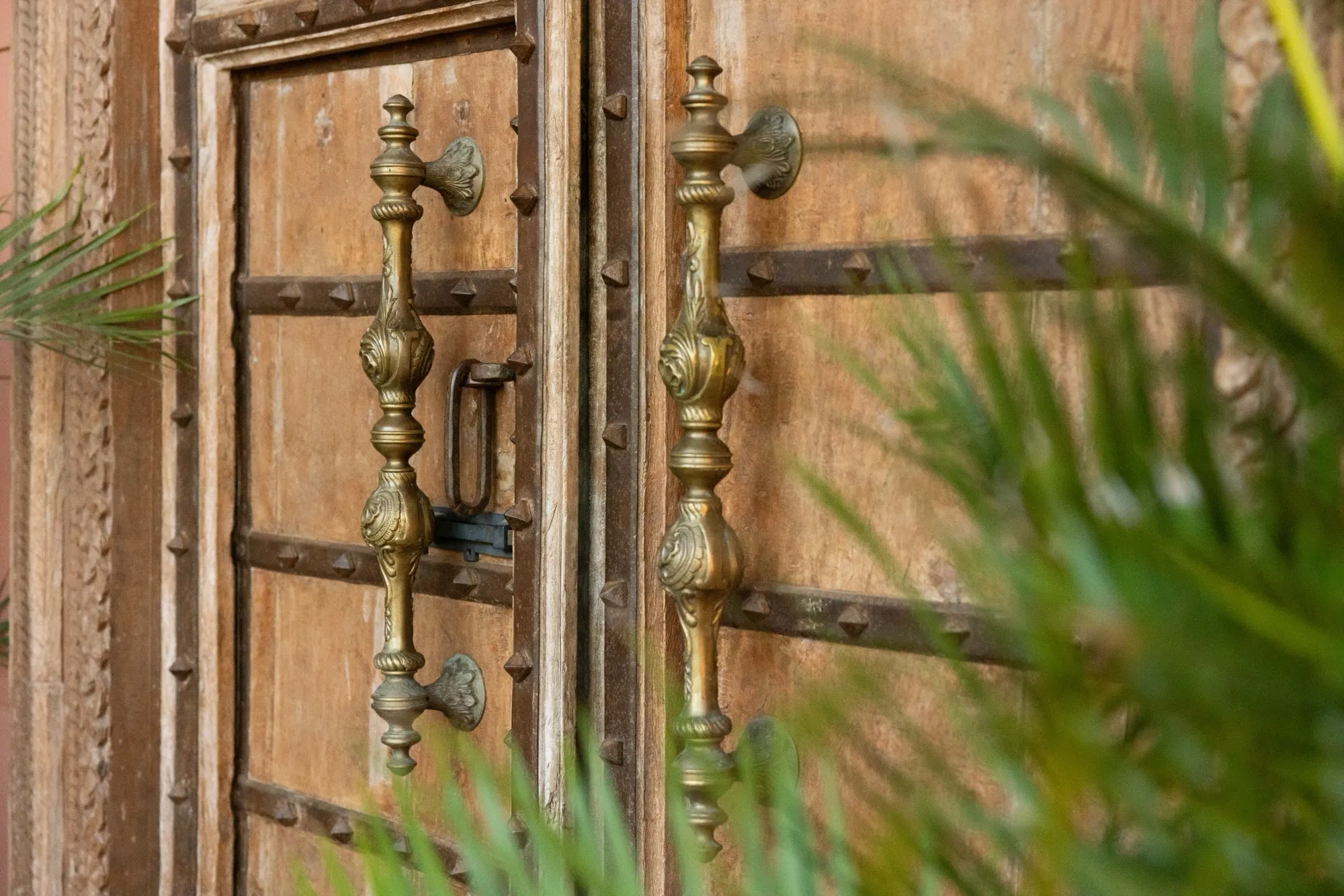 The Lotus House, brass handles on the antique carved entrance door